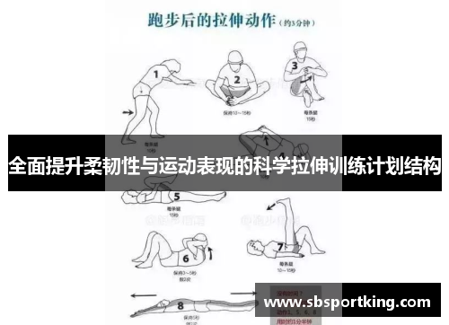 全面提升柔韧性与运动表现的科学拉伸训练计划结构
