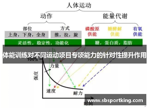 体能训练对不同运动项目专项能力的针对性提升作用