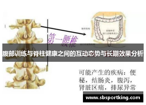 腹部训练与脊柱健康之间的互动态势与长期效果分析